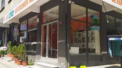 VET212 | KEDİLERE ÖZEL VETERİNER KLİNİĞİ