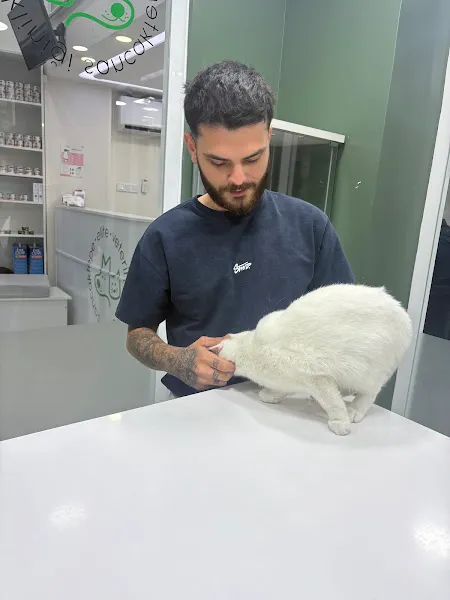 Sancaktepe Elite Veteriner Kliniği - 7/24 Acil Veteriner foto 2