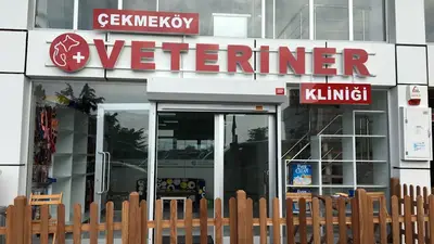 Çekmeköy Veteriner Kliniği ®