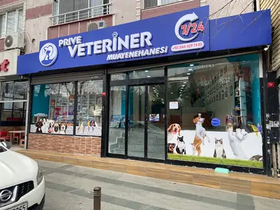 Prive Veteriner Kliniği Küçükçekmece Sefaköy