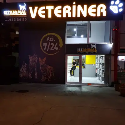 İstanimal Pendik 7/24 Acil Veteriner Kliniği