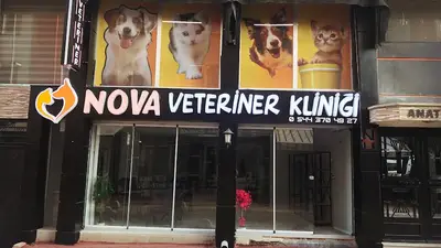 NOVA Veteriner Kliniği