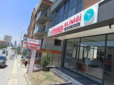Mucize Veteriner Kliniği
