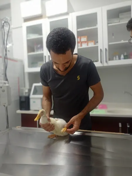 Mucize Veteriner Kliniği foto 2