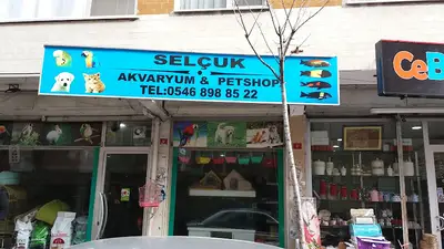 Selçuk çiçekçi & Petshop