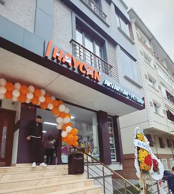 Haycan Akvaryum ve Petshop