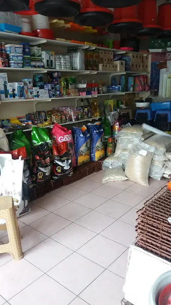 Gül Pet Shop foto 2