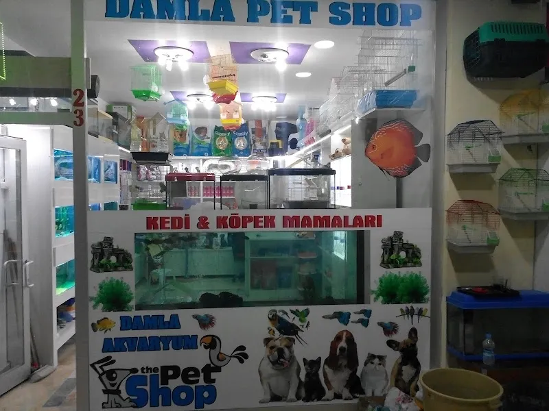 Damla Akvaryum foto 2