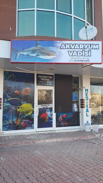 AKVARYUM VADİSİ foto 1