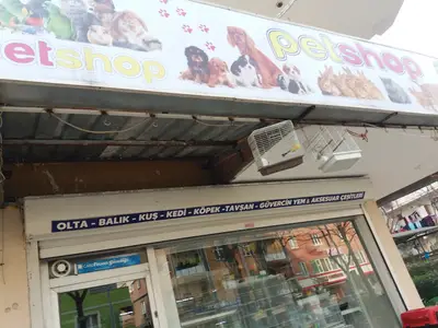 ERİKLİ PETSHOP AKVARYUM
