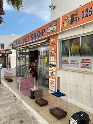 GÜMBET ÜNLÜ PETSHOP BODRUM MUHABBET KUŞU DÜNYASI