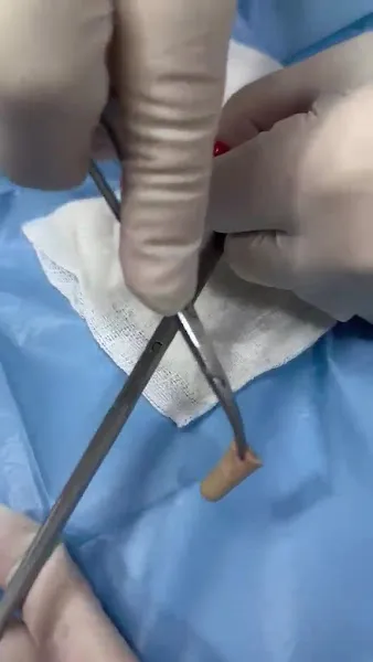 Pethome Veteriner Kliniği foto 2