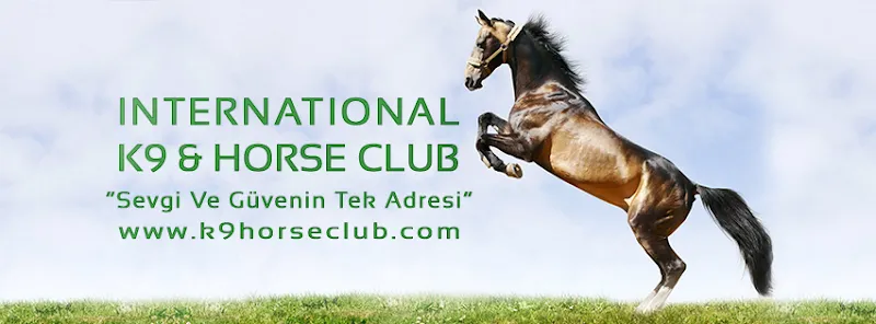International K-9 & Horse Club foto 1