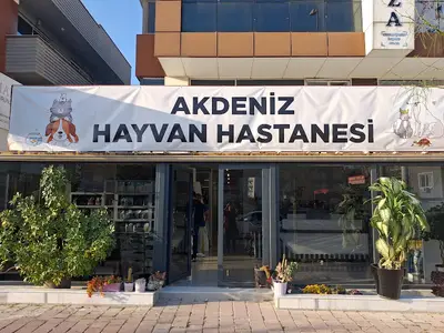 Akdeniz Hayvan Hastanesi