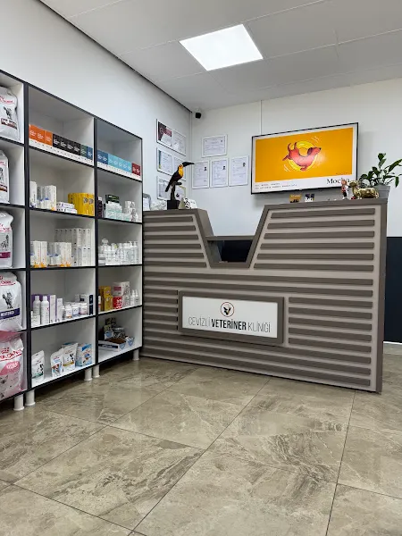 Cevizli Veteriner Kliniği 7/24 Acil Veteriner-Maltepe-Kedi,Köpek,Kuş Veteriner Kliniği foto 2