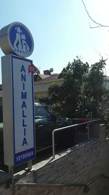 Animallia Hayvan Hastanesi