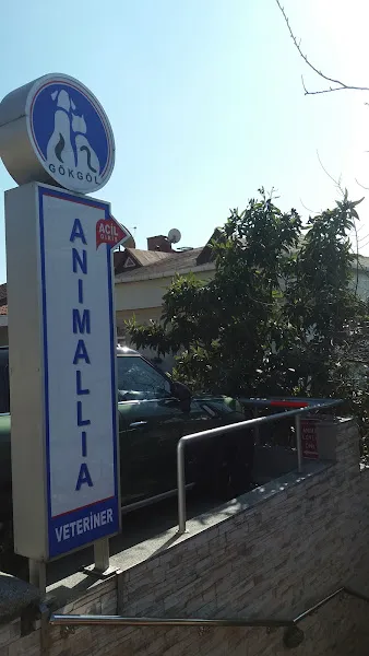 Animallia Hayvan Hastanesi foto 1