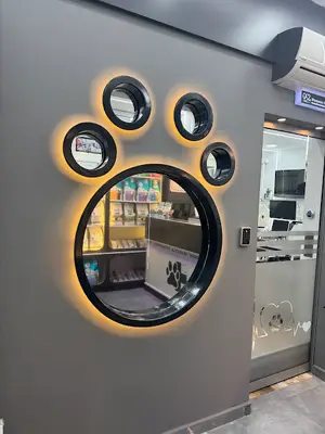 Beyaz Pati Veteriner Kliniği