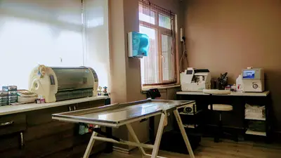Beyoğlu Veteriner Kliniği (Özel)