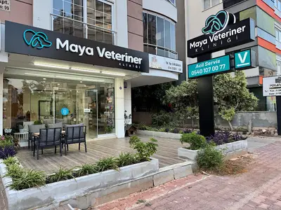 Maya Veteriner Kliniği