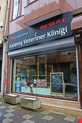 Kalamış Veteriner Kliniği 7/24
