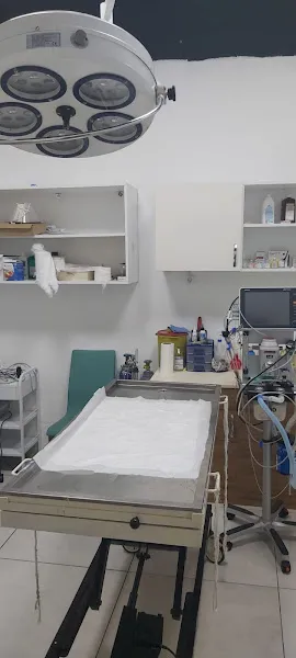 Pet Vadisi Veteriner Polikliniği foto 2