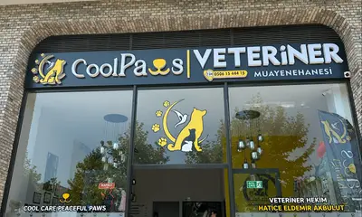 Cool Paws Veteriner Kliniği—7/24 Acil Nöbetçi Veteriner - Beylikdüzü