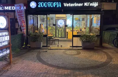 Zootopia Veteriner Kliniği