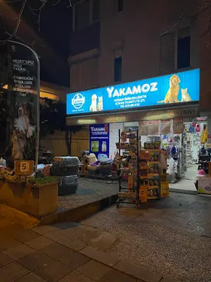 Yakamoz Petshop Kadıköy Şube