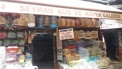 Seyhan Kuş Ve Köpek Galerisi