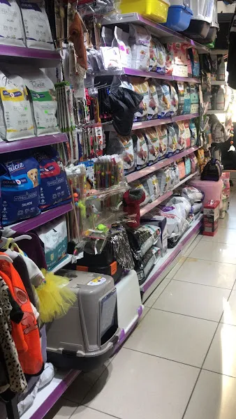 Petlican | Petshop foto 2