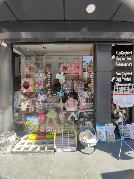 Çevik patiler petshop foto 2