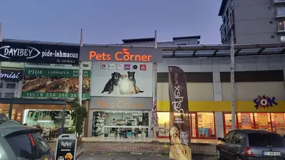 Pets Corner Kurtköy