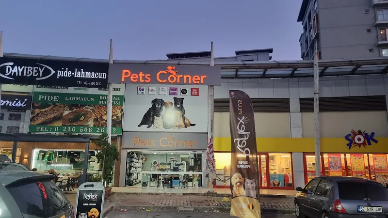 Pets Corner Kurtköy foto 1