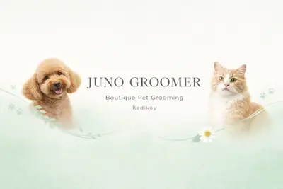 Juno Groomer | Pet Kuaför & Ozon-Spa