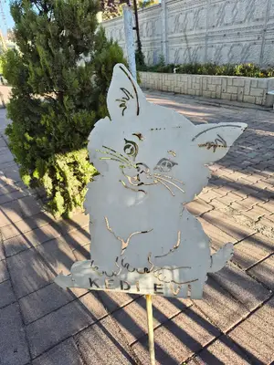 Kedi Evi