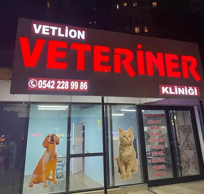 Vetlion Veteriner Kliniği 7/24 ACİL VETERİNER ESENYURT