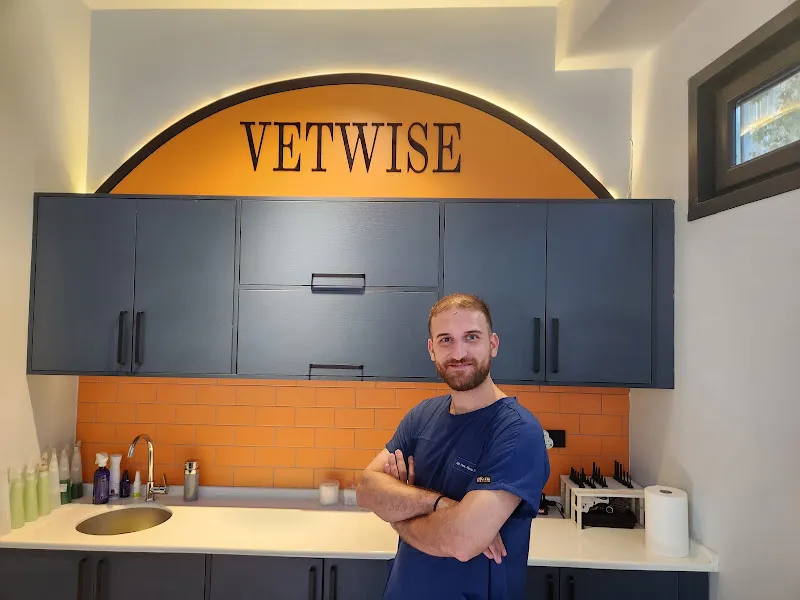 Vetwise Veteriner Kliniği foto 1