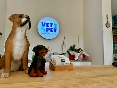 Vet 2 Pet Veteriner Kliniği