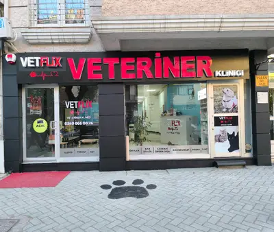 Vetflix Veteriner Kliniği