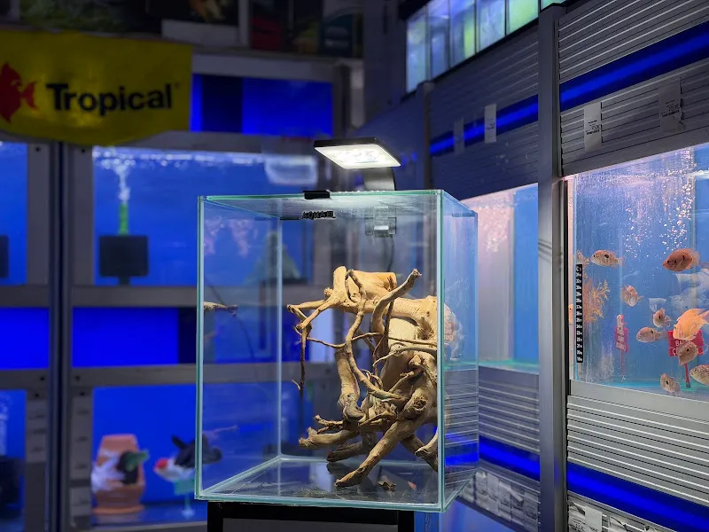 ANİMAL PET STORE TAŞDELEN foto 2