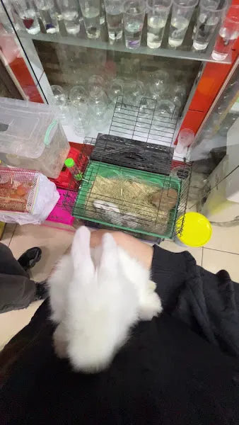 Er - Em Pet Shop foto 2