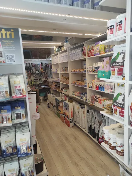 NUHUN GEMİSİ PETSHOP foto 2