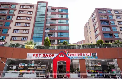 Ralf Petshop