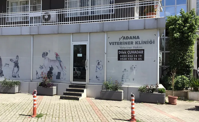 ADANA LiNA VETERİNER KLİNİĞİ foto 1