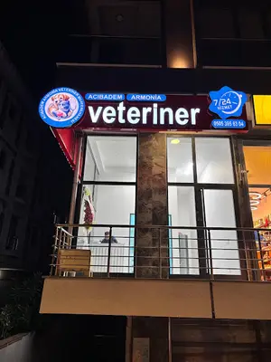 Acıbadem Armonia Veteriner - 7/24 Üsküdar Veteriner - Kadıköy Veteriner