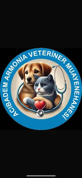 Acıbadem Armonia Veteriner - 7/24 Üsküdar Veteriner - Kadıköy Veteriner foto 2