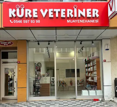 Çekmeköy Küre Veteriner Kliniği