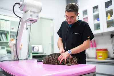 Caka Veteriner Kliniği 7/24 Acil