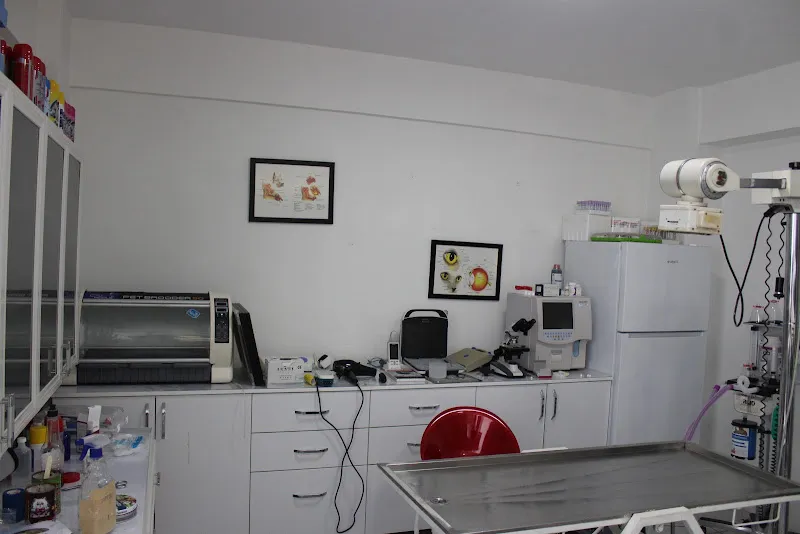 DÜZCE EGE VETERİNER KLİNİĞİ foto 2